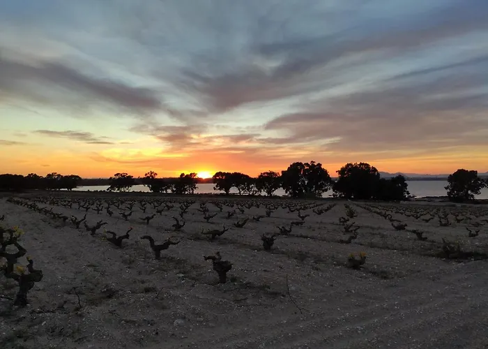 Apartamento Torre Zeus, La Mata, *